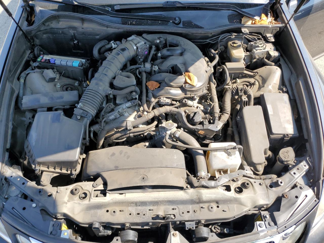 2008 Lexus Gs 350 VIN: JTHBE96S080042203 Lot: 64860565