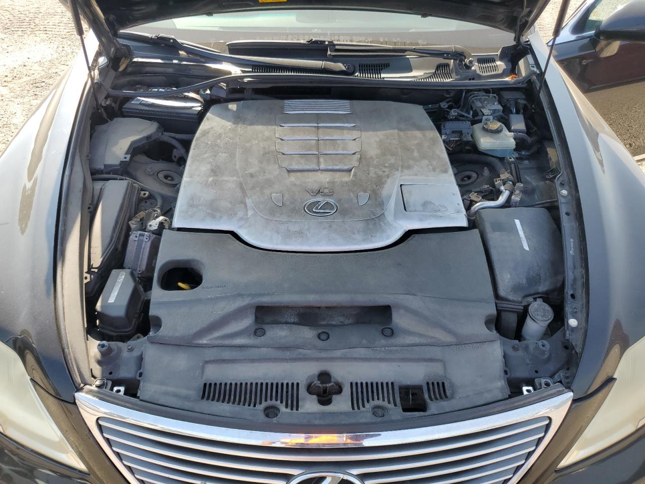 2007 Lexus Ls 460 VIN: JTHBL46F975016602 Lot: 64104515