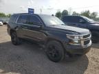 2019 CHEVROLET TAHOE K1500 LS   for sale at Copart NY - SYRACUSE