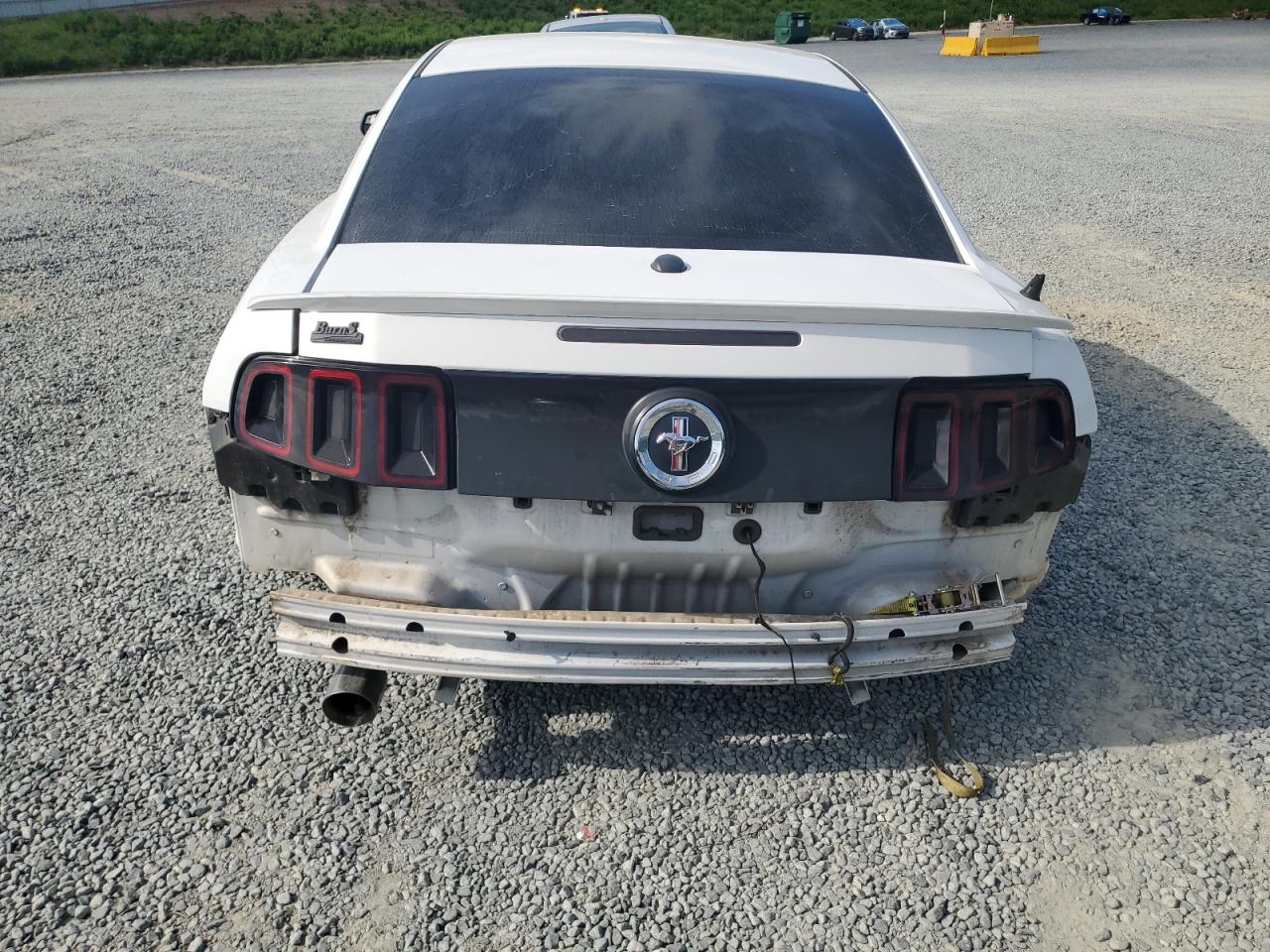 2014 Ford Mustang VIN: 1ZVBP8AM3E5232300 Lot: 65156355