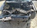 2006 FORD FOCUS ZX4   for sale at Copart AB - EDMONTON