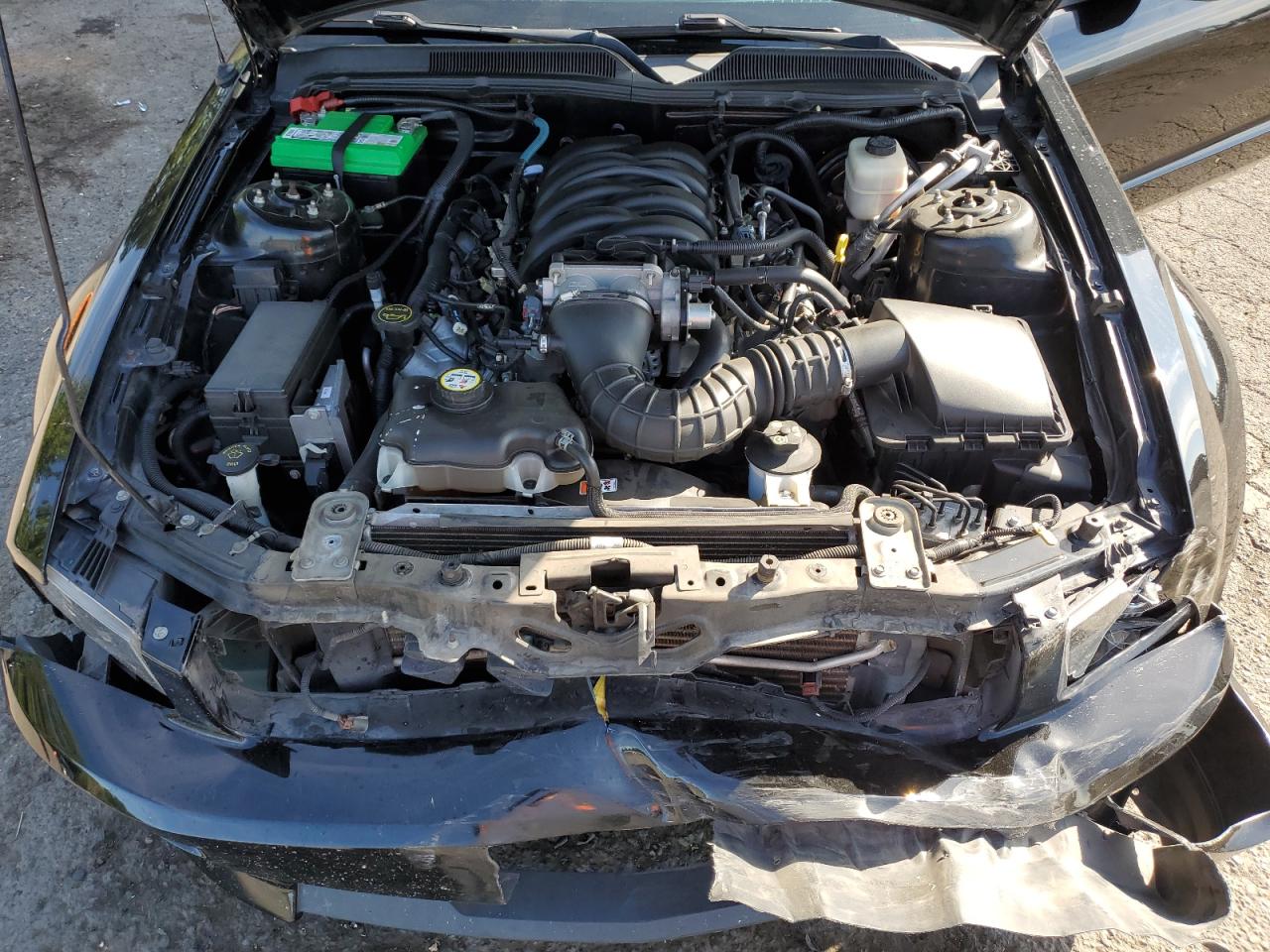 2008 Ford Mustang Gt VIN: 1ZVHT82H385120317 Lot: 63318965