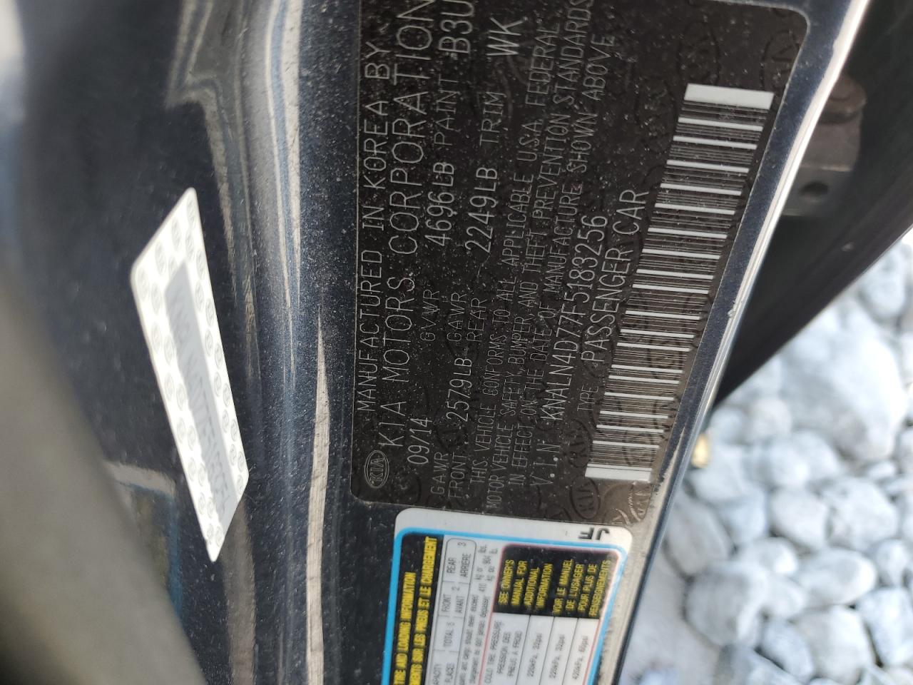 2015 Kia Cadenza Premium VIN: KNALN4D77F5183256 Lot: 64837785