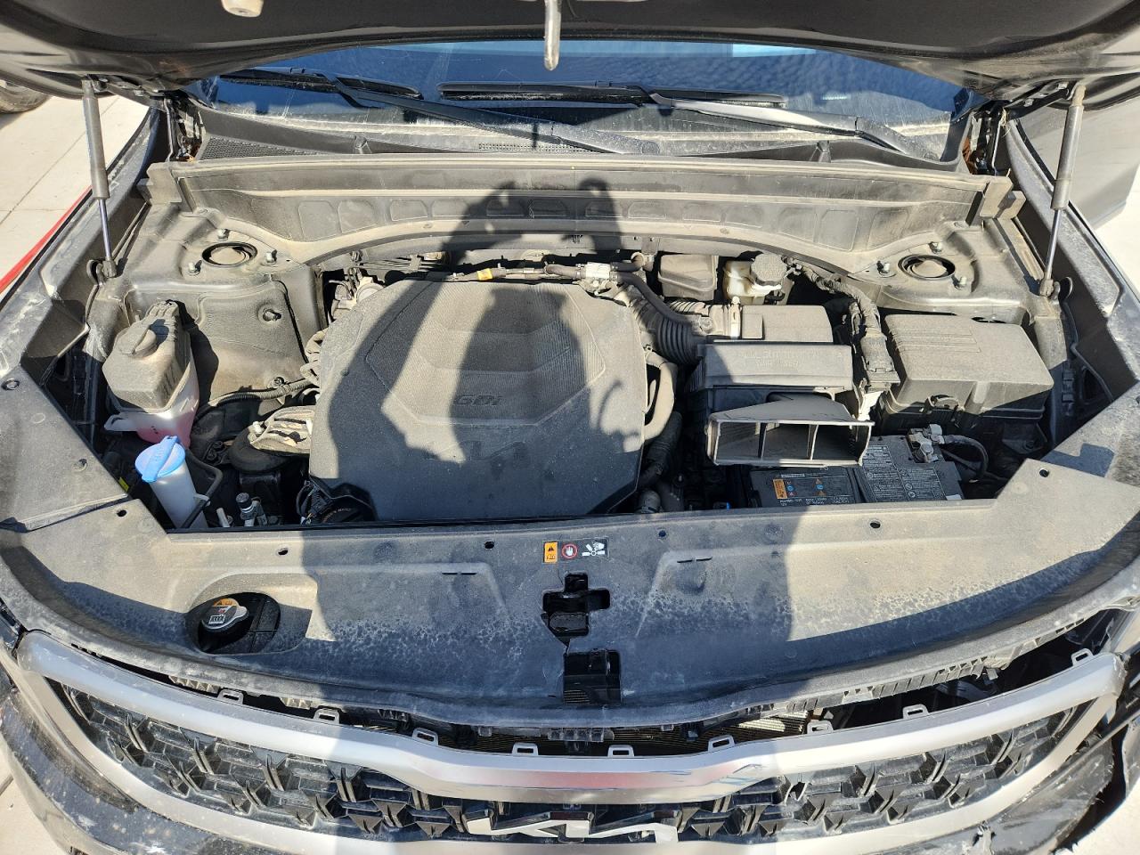 2023 Kia Telluride Sx VIN: 5XYP5DGC2PG376632 Lot: 63259705
