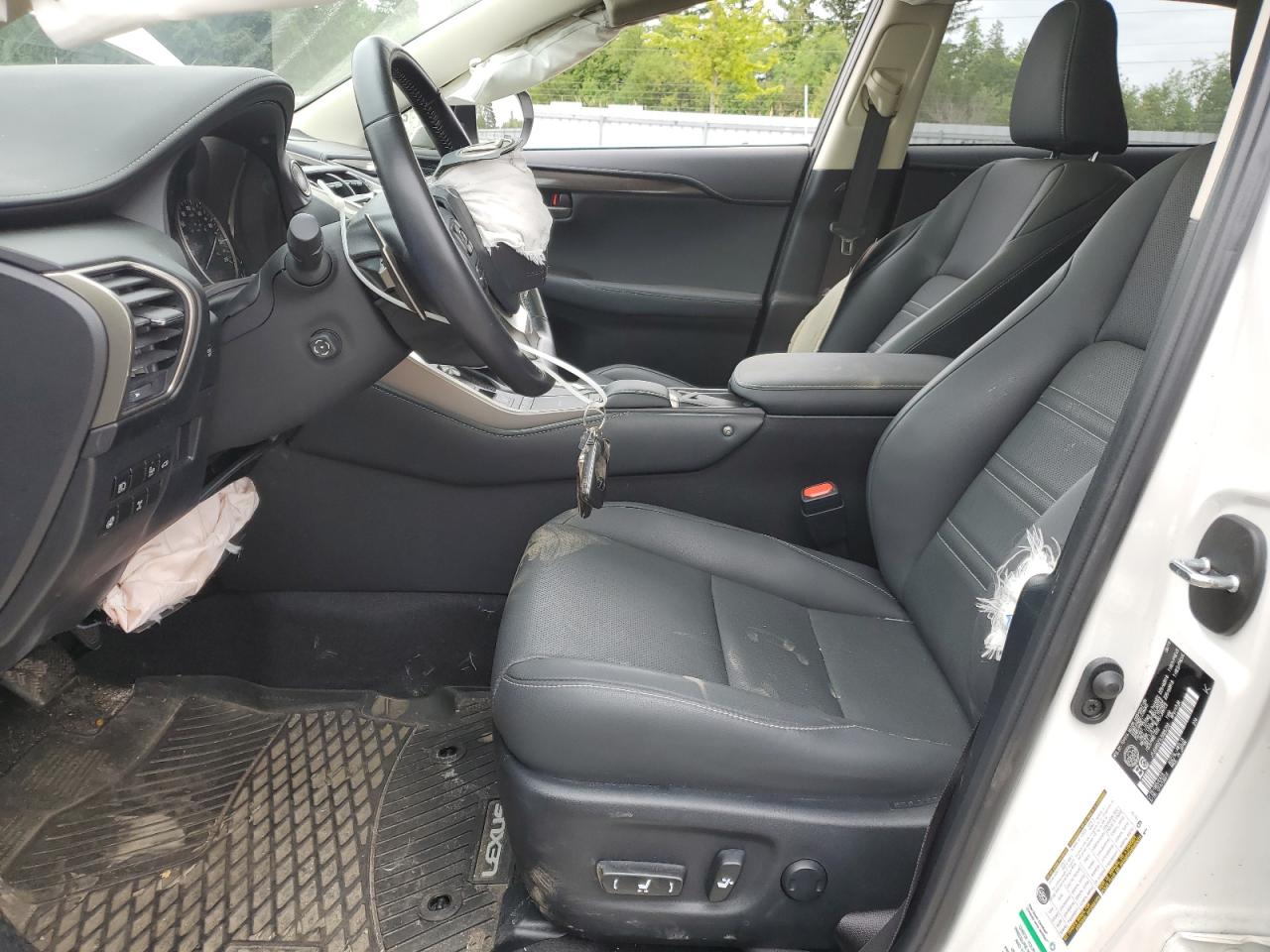 2020 Lexus Nx 300 VIN: JTJGARDZ1L5005723 Lot: 63196325