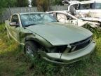 2006 FORD MUSTANG    for sale at Copart AB - CALGARY