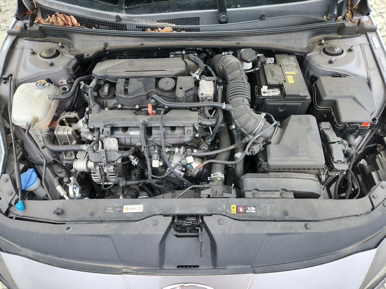 2023 Hyundai Elantra N Line VIN: KMHLR4AFXPU570809 Lot: 65239865