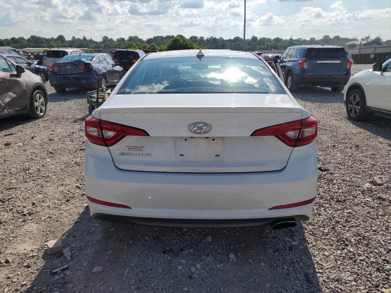 2016 Hyundai Sonata Se VIN: 5NPE24AF0GH381873 Lot: 66695545