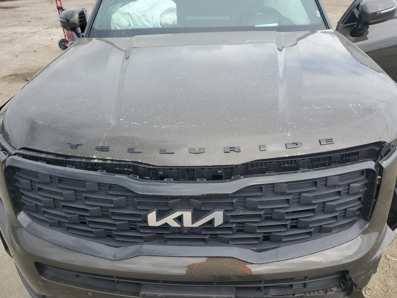 2022 Kia Telluride Sx VIN: 5XYP5DHC0NG263693 Lot: 63349195