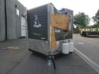 2014 ICE CASTLES AMERICAN EAGLE FISH for sale at Copart MN - MINNEAPOLIS NORTH