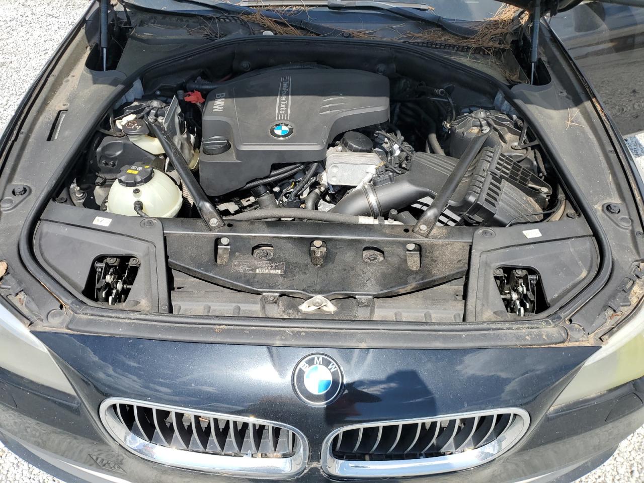 2014 BMW 528 Xi VIN: WBA5A7C53ED219261 Lot: 66098475