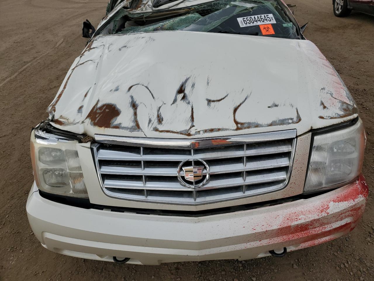 2006 Cadillac Escalade Luxury VIN: 1GYEK63N66R101000 Lot: 65044645