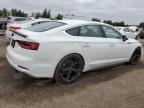 2019 AUDI S5 PRESTIGE   for sale at Copart ON - TORONTO