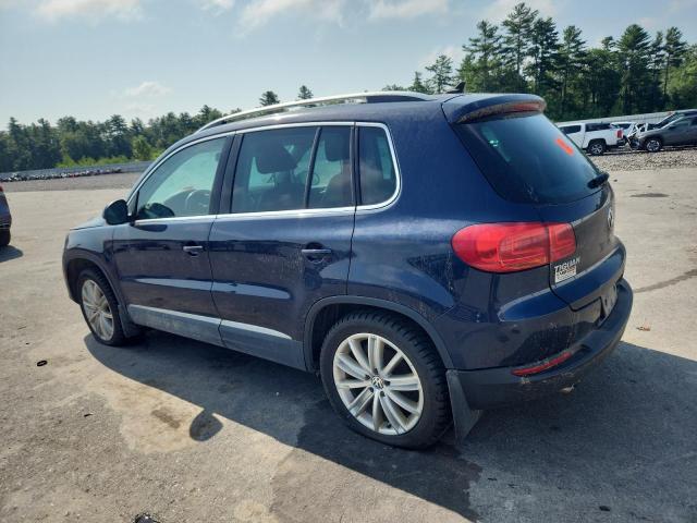  VOLKSWAGEN TIGUAN 2013 Blue