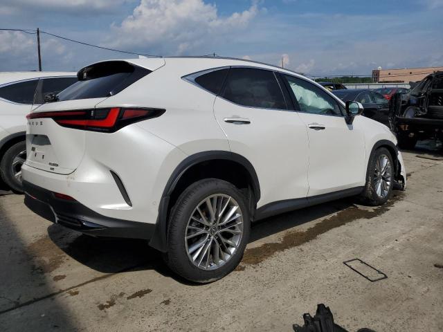  LEXUS NX 350H BA 2024 Белы