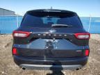 2024 FORD ESCAPE ST LINE   for sale at Copart AB - CALGARY