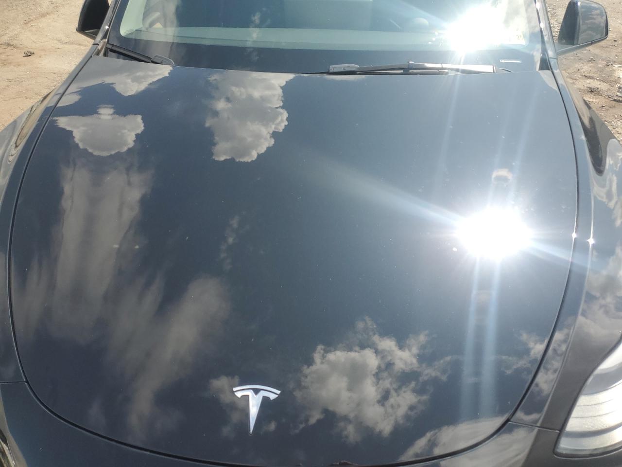 2023 Tesla Model Y VIN: 7SAYGAEE7PF847007 Lot: 64879285