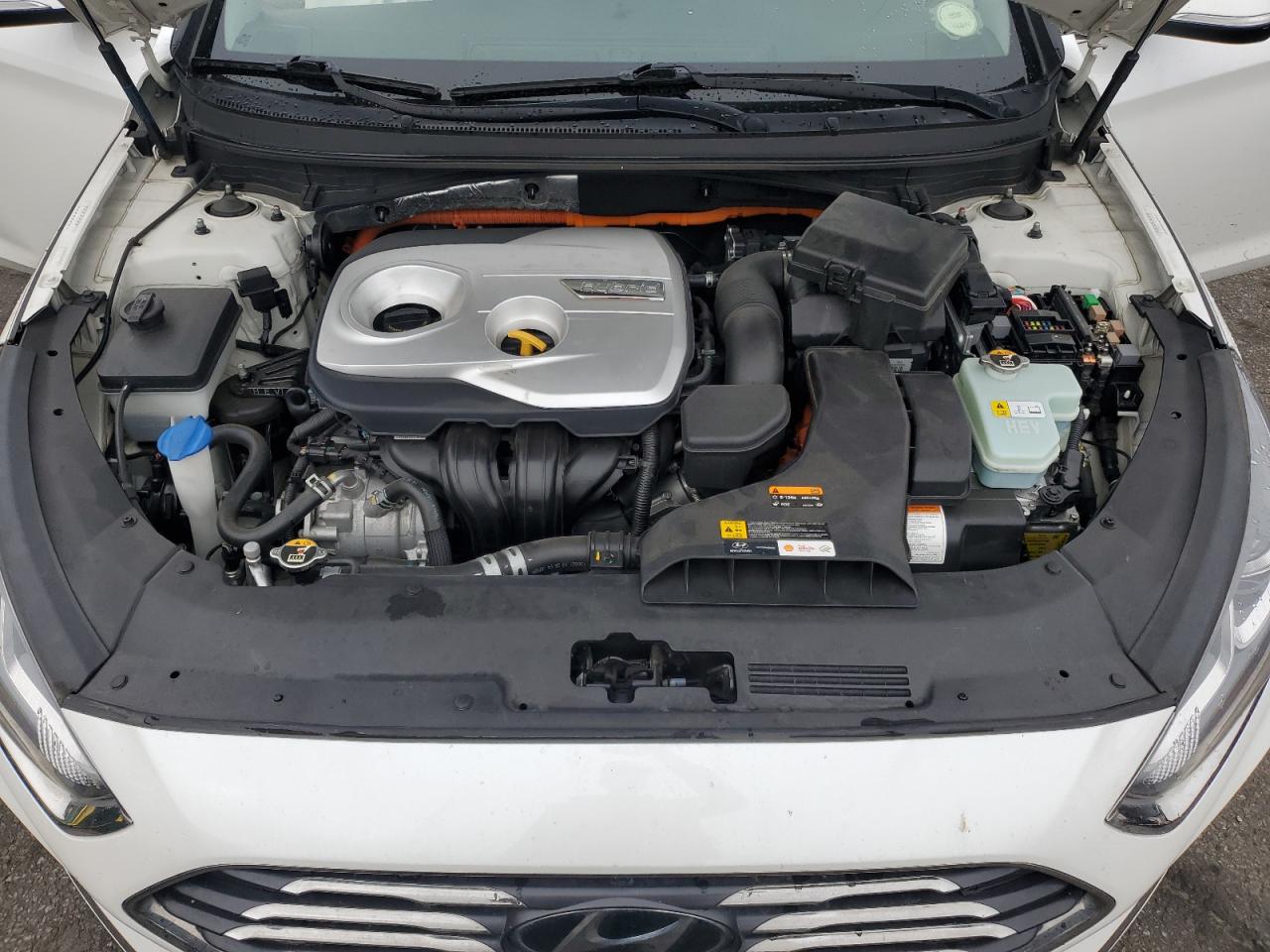 2019 Hyundai Sonata Hybrid VIN: KMHE24L35KA085049 Lot: 65446905