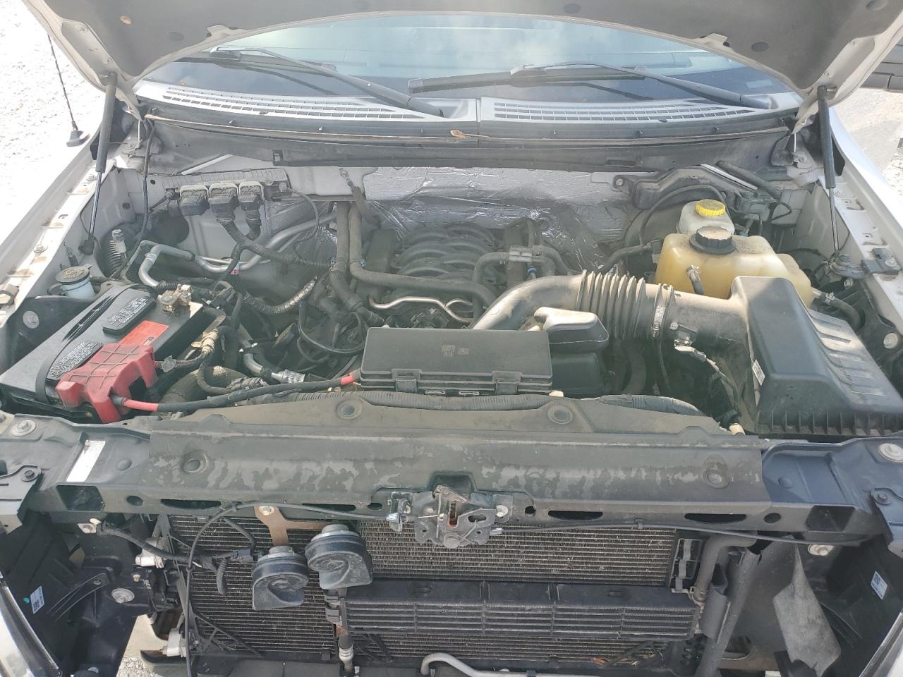 2014 Ford F150 Supercrew VIN: 1FTFW1EF7EKD29365 Lot: 66641305