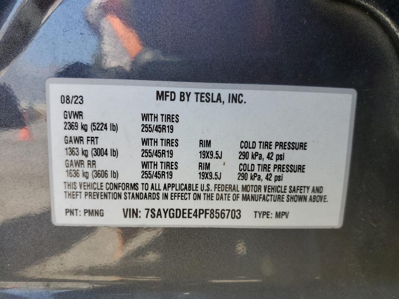 2023 Tesla Model Y VIN: 7SAYGDEE4PF856703 Lot: 66704565