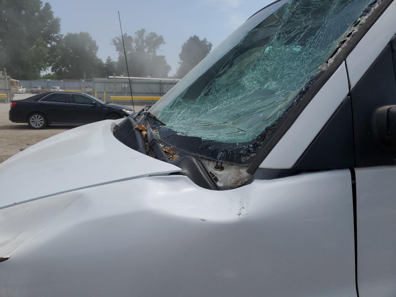 2008 Chevrolet Express G2500 VIN: 1GCGG29C181175740 Lot: 64672195