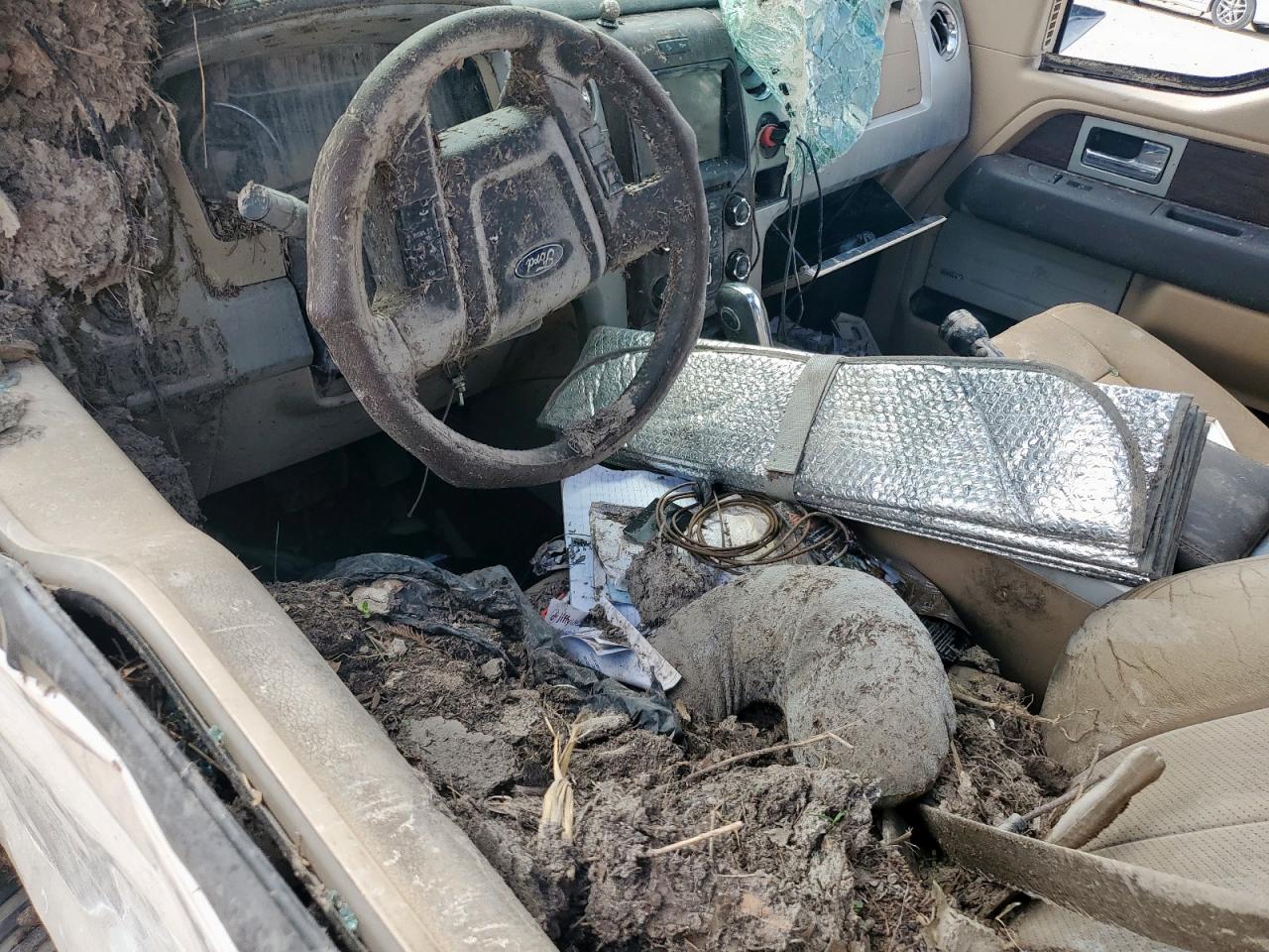 2014 Ford F150 Supercrew VIN: 1FTFW1EF9EKF15506 Lot: 66395795