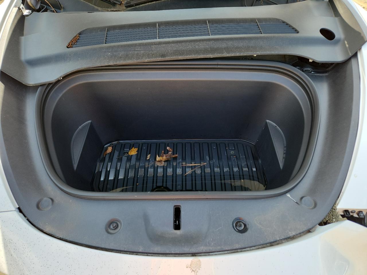 2022 Tesla Model Y VIN: 7SAYGDEF6NF455787 Lot: 64570415