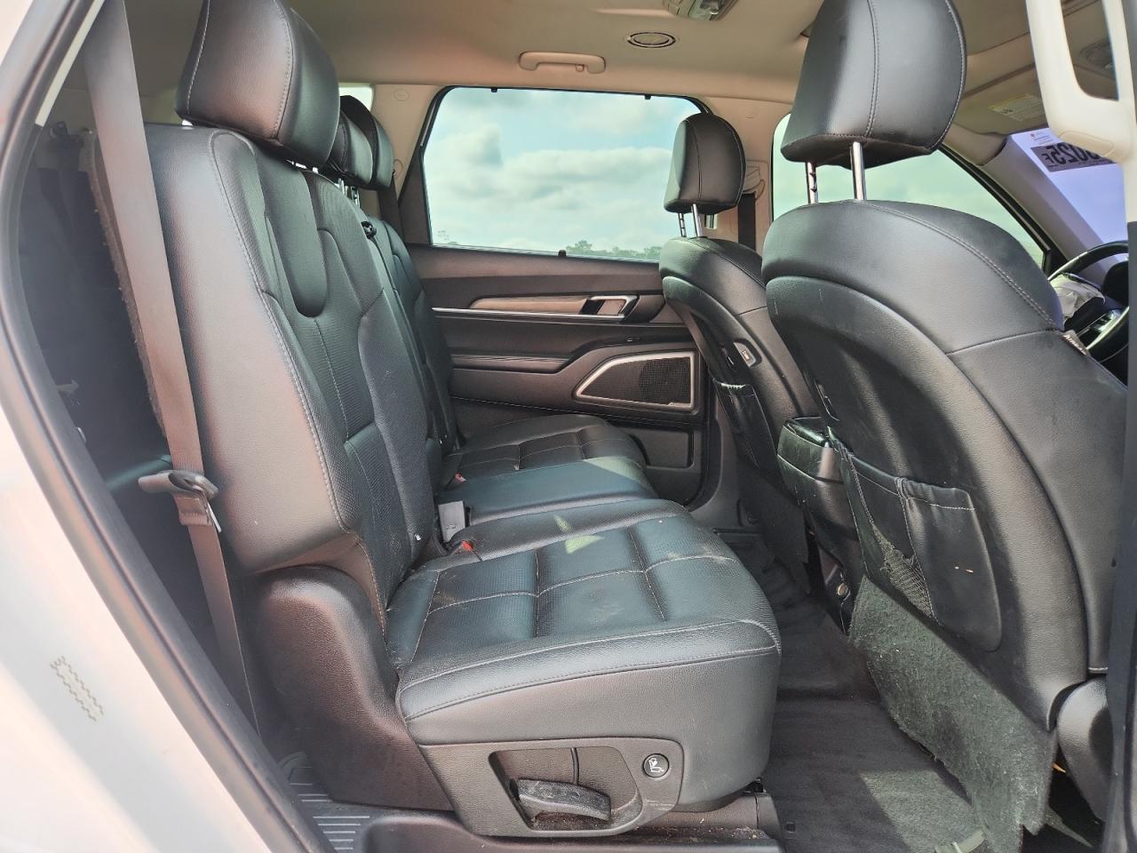 2020 Kia Telluride Ex VIN: 5XYP3DHC6LG008470 Lot: 64113025