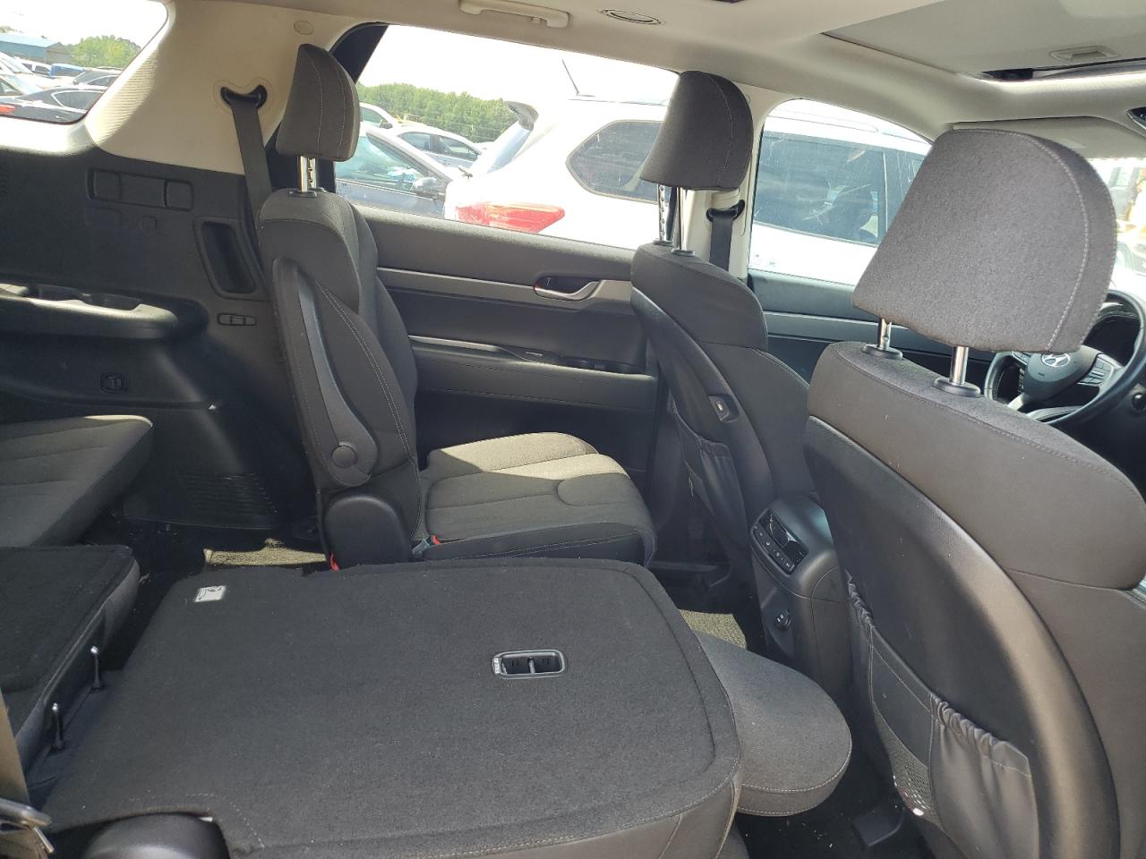 2020 Hyundai Palisade Sel VIN: KM8R24HE6LU160806 Lot: 64906695