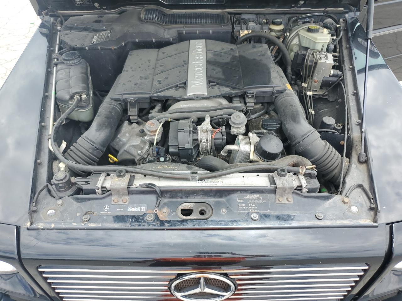 WDCYR49E13X142197 2003 Mercedes-Benz G 500