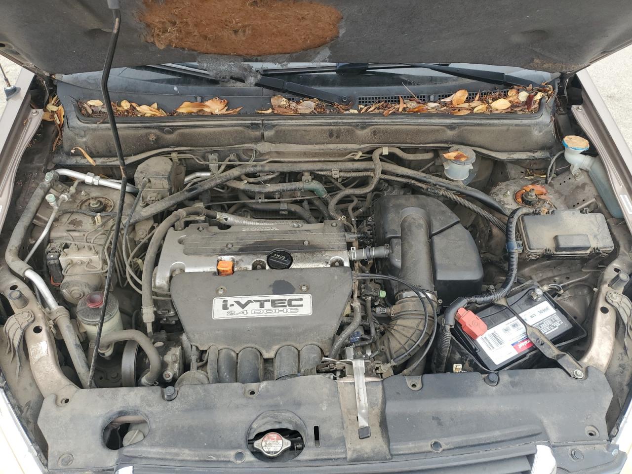 2004 Honda Cr-V Ex VIN: JHLRD78874C003483 Lot: 65294885