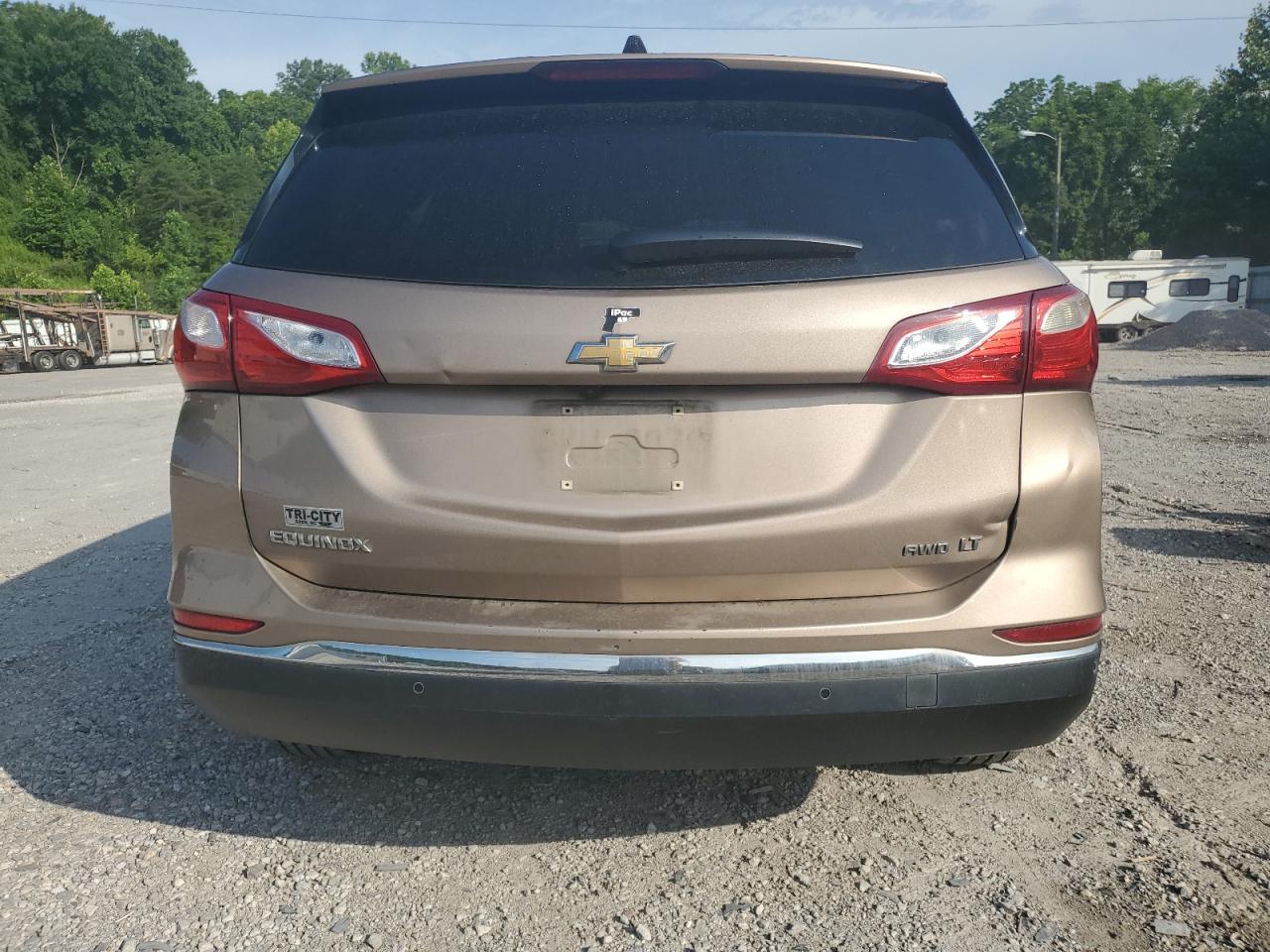 2019 Chevrolet Equinox Lt VIN: 2GNAXUEV4K6201106 Lot: 65170895