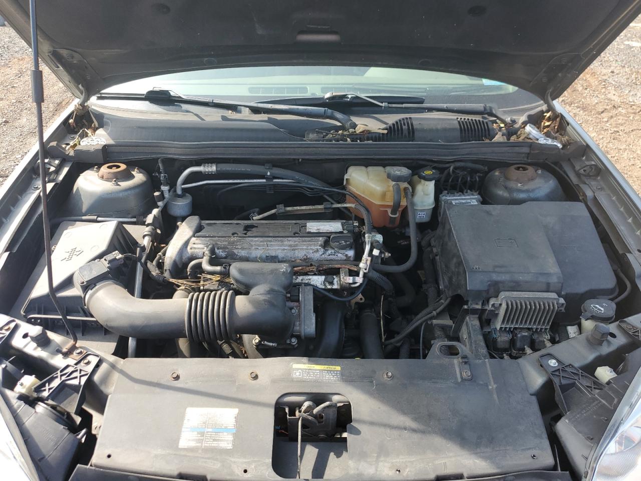 2006 Chevrolet Malibu Lt VIN: 1G1ZT53F96F223146 Lot: 66808435