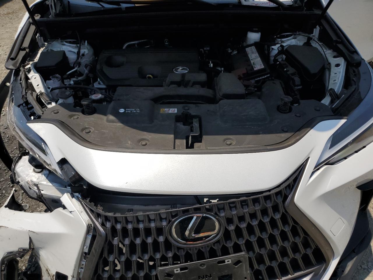 2024 Lexus Nx 250 Base VIN: JTJADCAZ3R2013850 Lot: 64885525