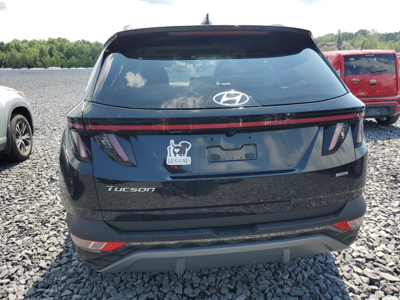 2022 Hyundai Tucson Limited VIN: 5NMJECAE5NH114312 Lot: 65021595