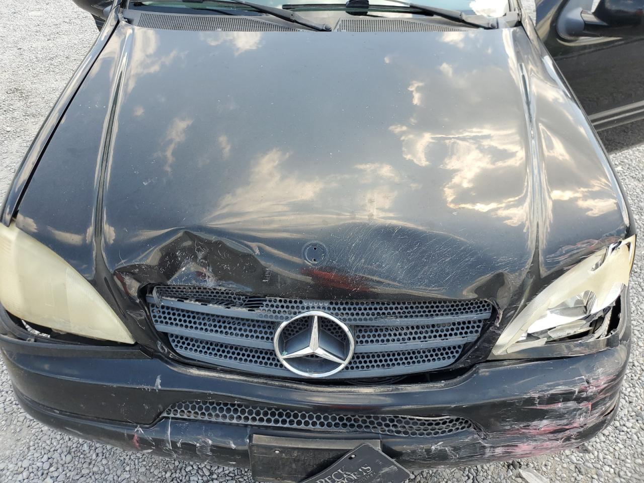 2000 Mercedes-Benz Ml 320 VIN: 4JGAB54E5YA195189 Lot: 66777365