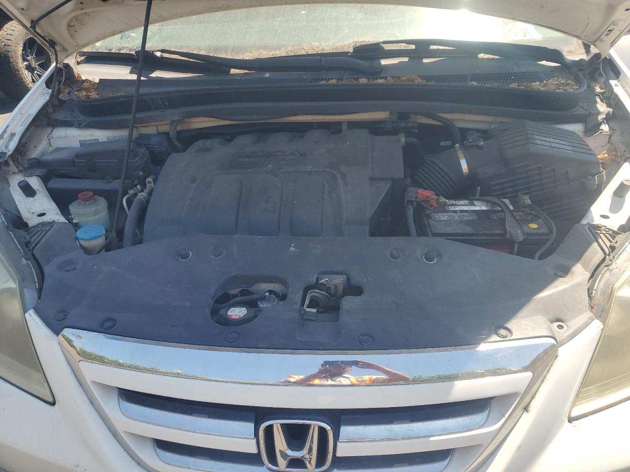 2007 Honda Odyssey Exl VIN: 5FNRL38667B460834 Lot: 63347985