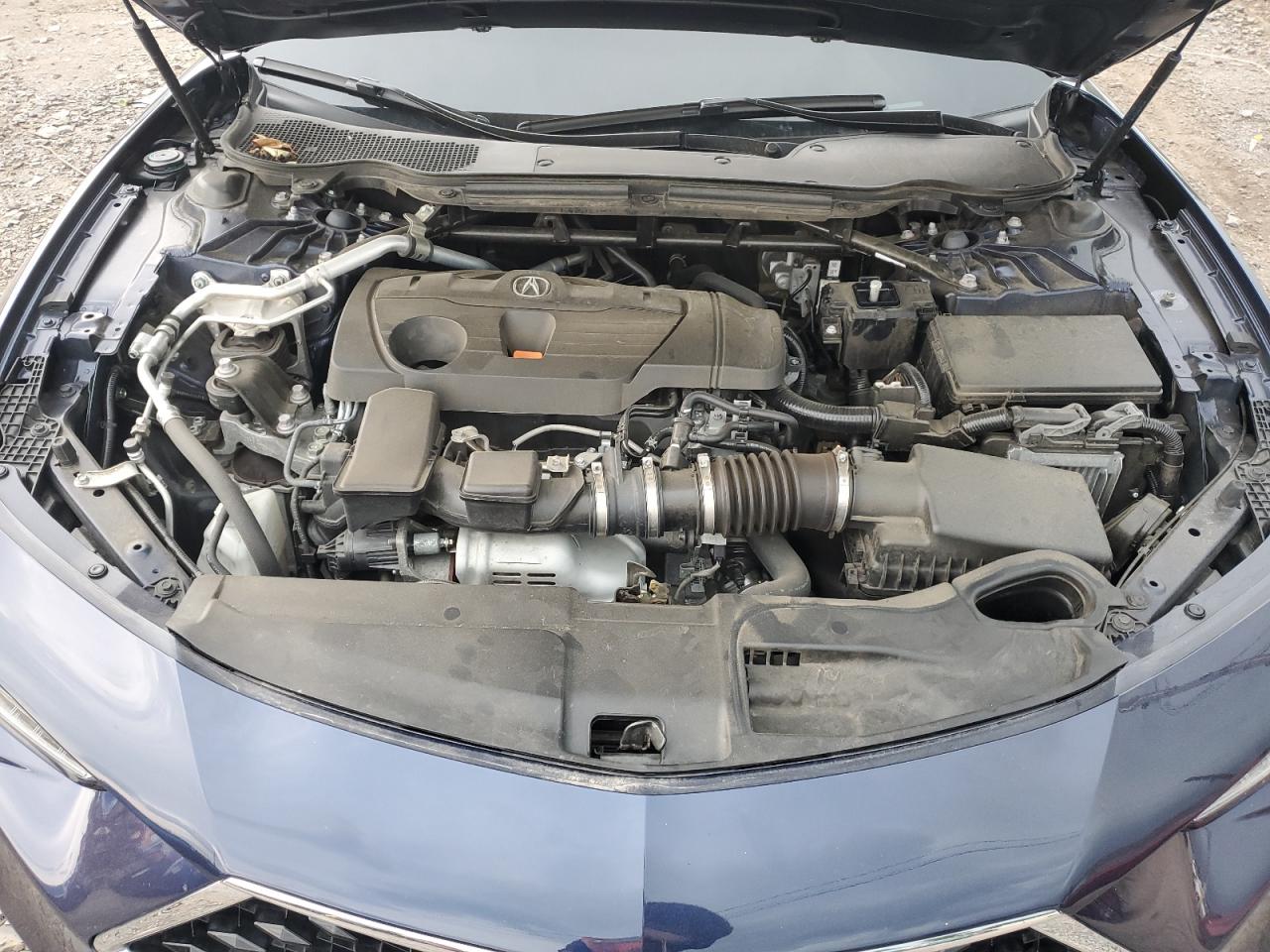 2021 Acura Tlx Advance VIN: 19UUB6F69MA012403 Lot: 66446995