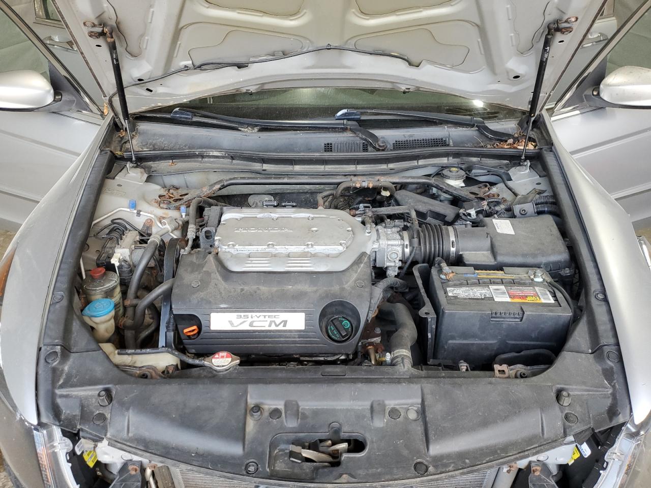 2010 Honda Accord Exl VIN: 5KBCP3F84AB003429 Lot: 66988195