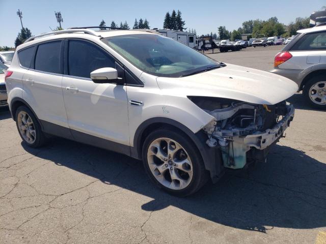  FORD ESCAPE 2014 Biały