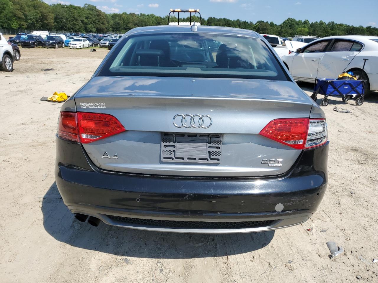 2010 Audi A4 Premium Plus VIN: WAUFFAFL8AN065356 Lot: 63534955