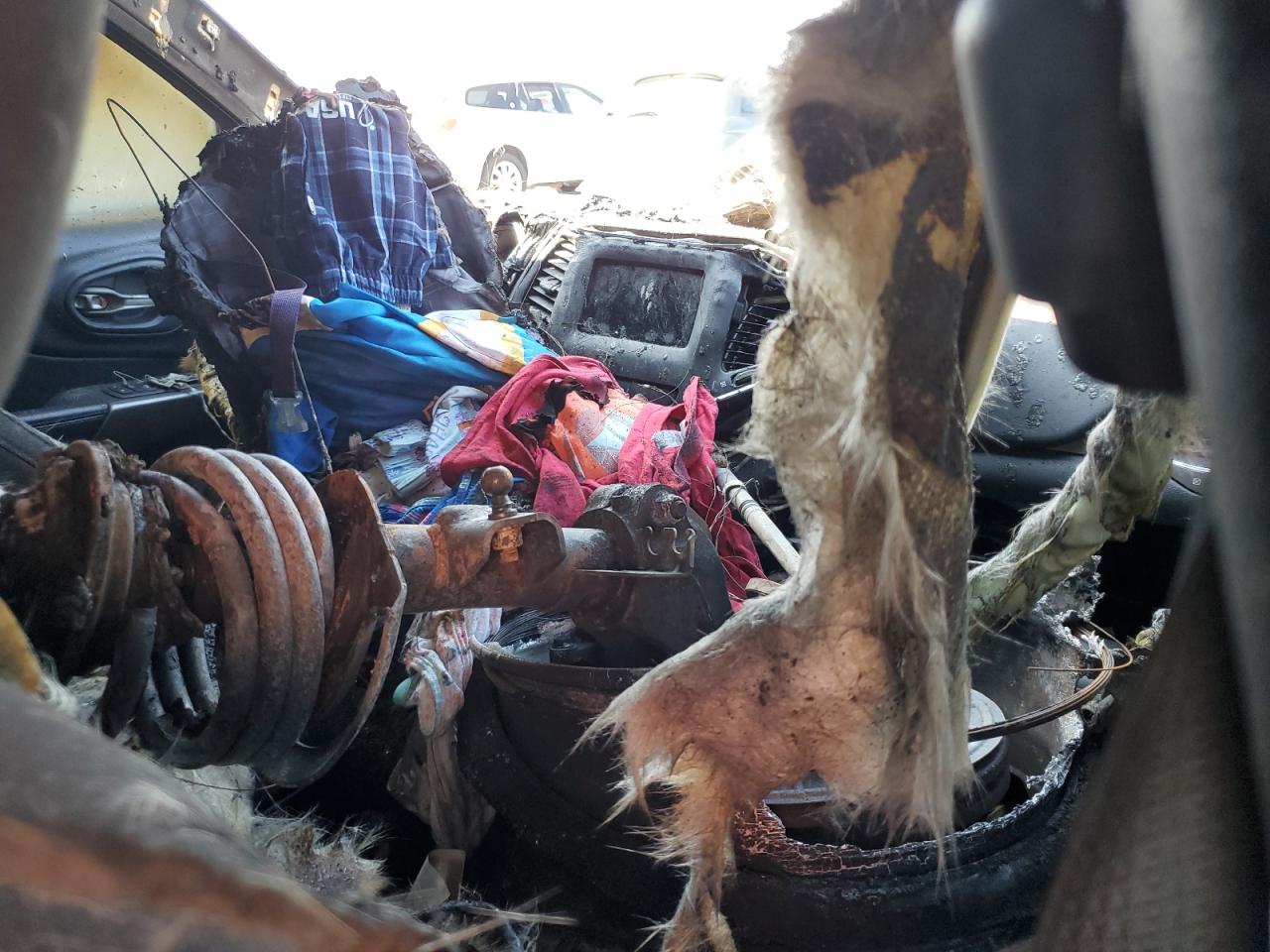 2020 Jeep Cherokee Latitude VIN: 1C4PJMCB0LD584719 Lot: 66609935