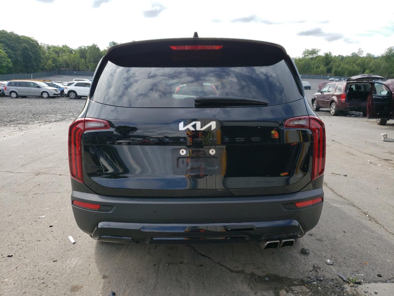 2022 Kia Telluride Sx VIN: 5XYP5DHCXNG324600 Lot: 63943025
