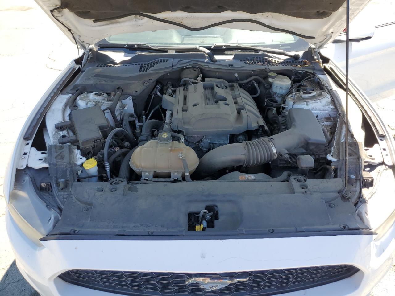 2015 Ford Mustang VIN: 1FA6P8TH3F5323384 Lot: 62133765
