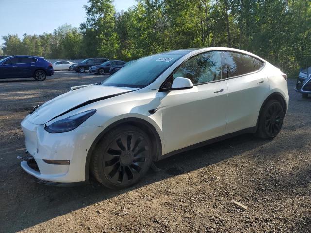 2022 TESLA MODEL Y    à vendre chez Copart ON - COOKSTOWN
