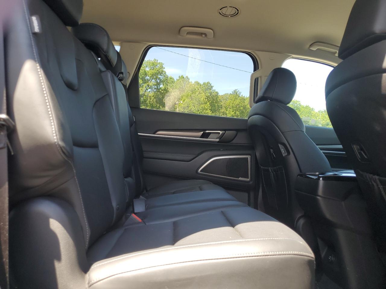 2024 Kia Telluride Lx VIN: 5XYP2DGC6RG528004 Lot: 65412575