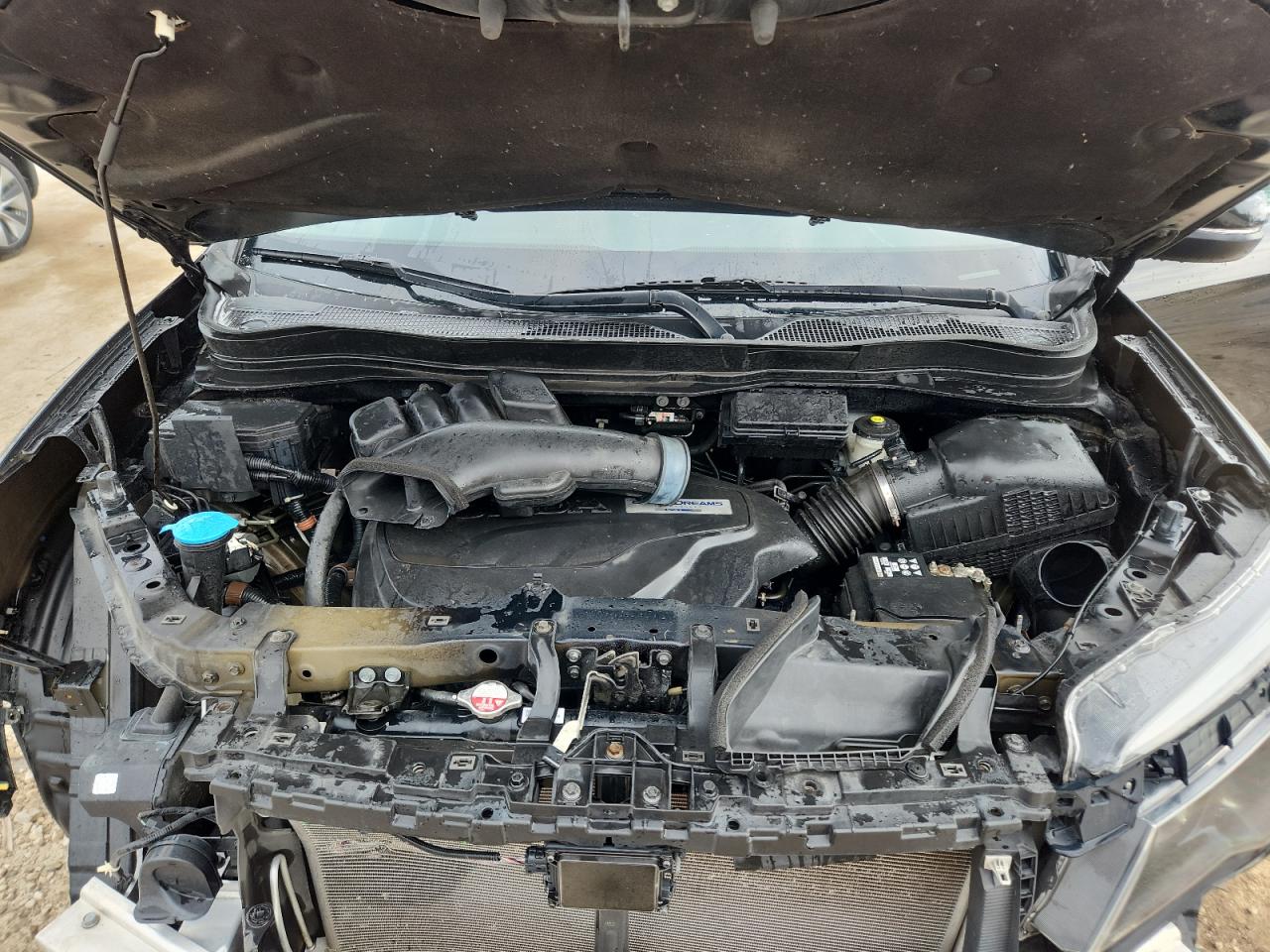 2019 Honda Pilot Exl VIN: 5FNYF6H56KB059787 Lot: 63844895