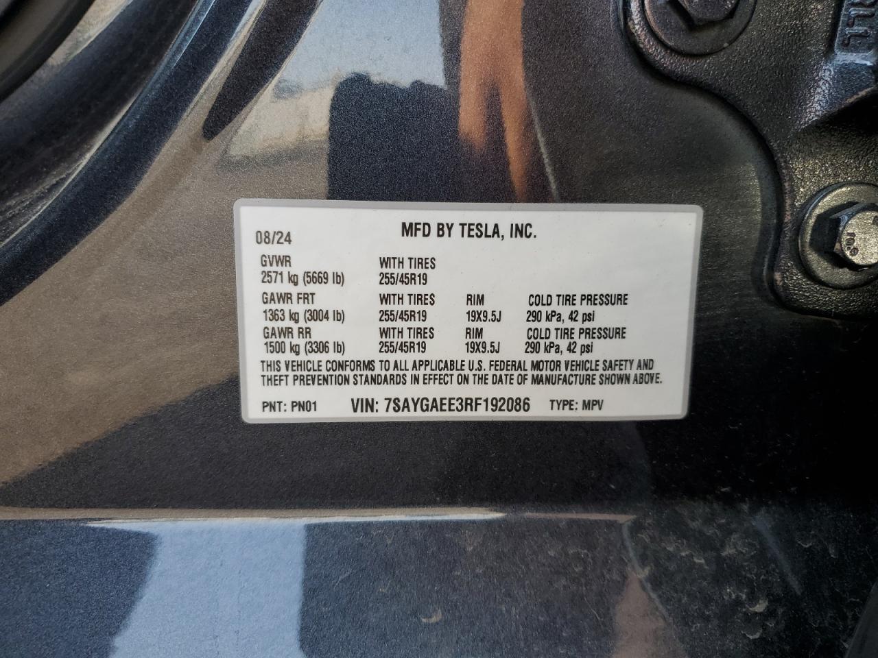 2024 Tesla Model Y VIN: 7SAYGAEE3RF192086 Lot: 65028085