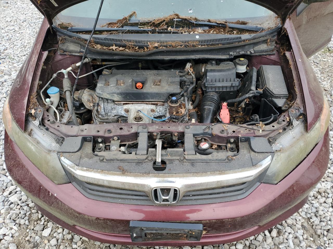 2012 Honda Civic Lx VIN: 19XFB2F56CE078250 Lot: 65391825