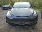2024 TESLA MODEL Y    for sale at Copart ON - COOKSTOWN